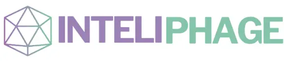 My Website